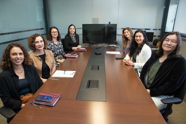 Desembargadora eleitoral Stefane Fiúza conduz 1ª reunião com o Comitê Gestor de Participação Feminina Desembargadora eleitoral Stefane Fiúza conduz 1ª reunião com o Comitê Gestor de Participação Fem...