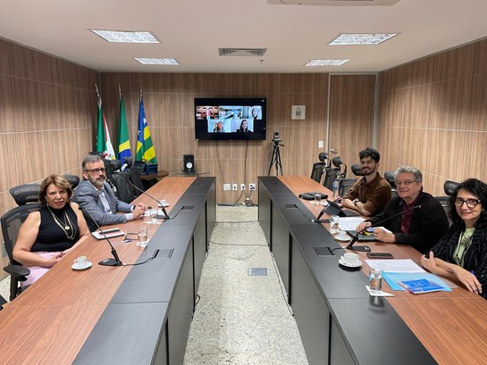 Subcomissão Científica do V Enam se reúne para definir cronograma do evento Subcomissão Científica do V Enam se reúne para definir cronograma do evento