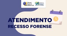 Serviços eleitorais estão disponíveis neste portal